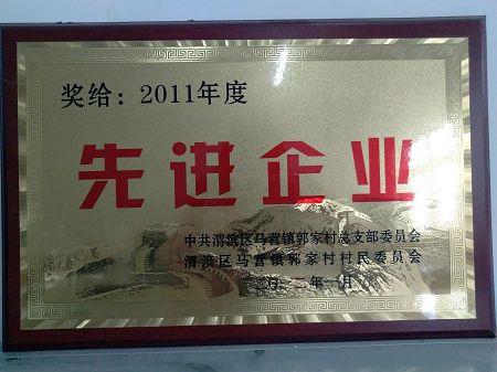 2011Advanced Enterprise(001)